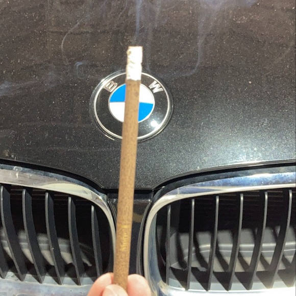 Meet your Posher, Bree - Picture 1 of 1